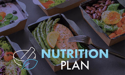 Nutrition Plan - Workout Plan