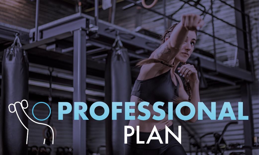 Professional Coaching Plan