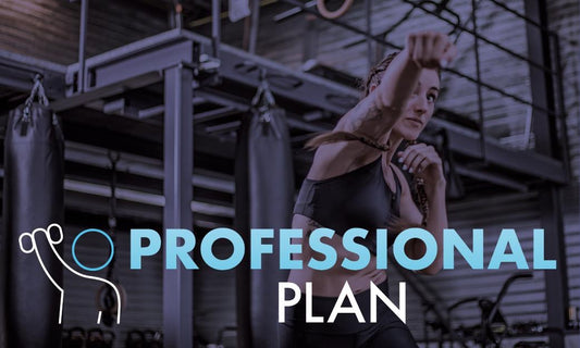 Professional Coaching Plan
